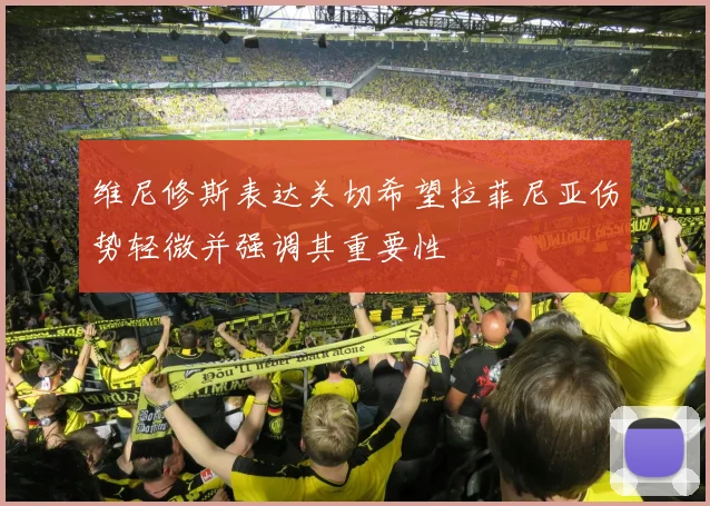 维尼修斯表达关切希望拉菲尼亚伤势轻微并强调其重要性
